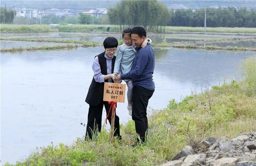 互聯網賦能農旅融合 臨安鄉村“一畝田”預售新模式探析